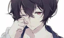 动漫 男,动漫中的热血少年传奇