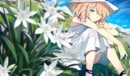 动漫图片壁纸,壁纸中的奇幻之旅