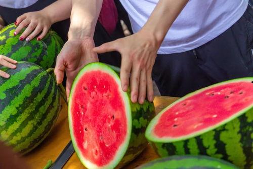 广西大学吃瓜大爆料,揭秘校园热点事件背后的真相